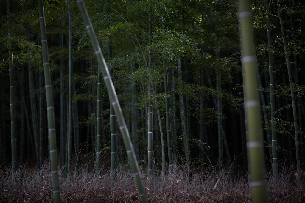 Kyoto Fushimi Ohana Muko Εξωτερικό φωτογραφία