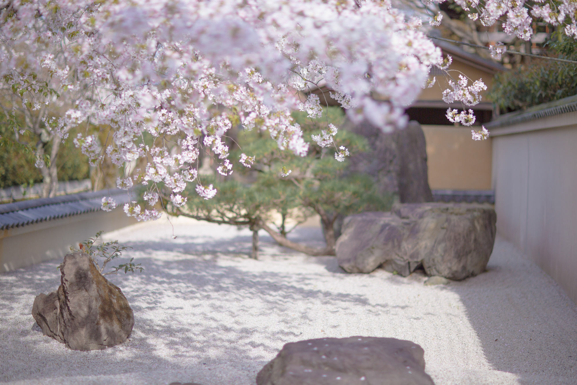 Kyoto Fushimi Ohana Muko Εξωτερικό φωτογραφία